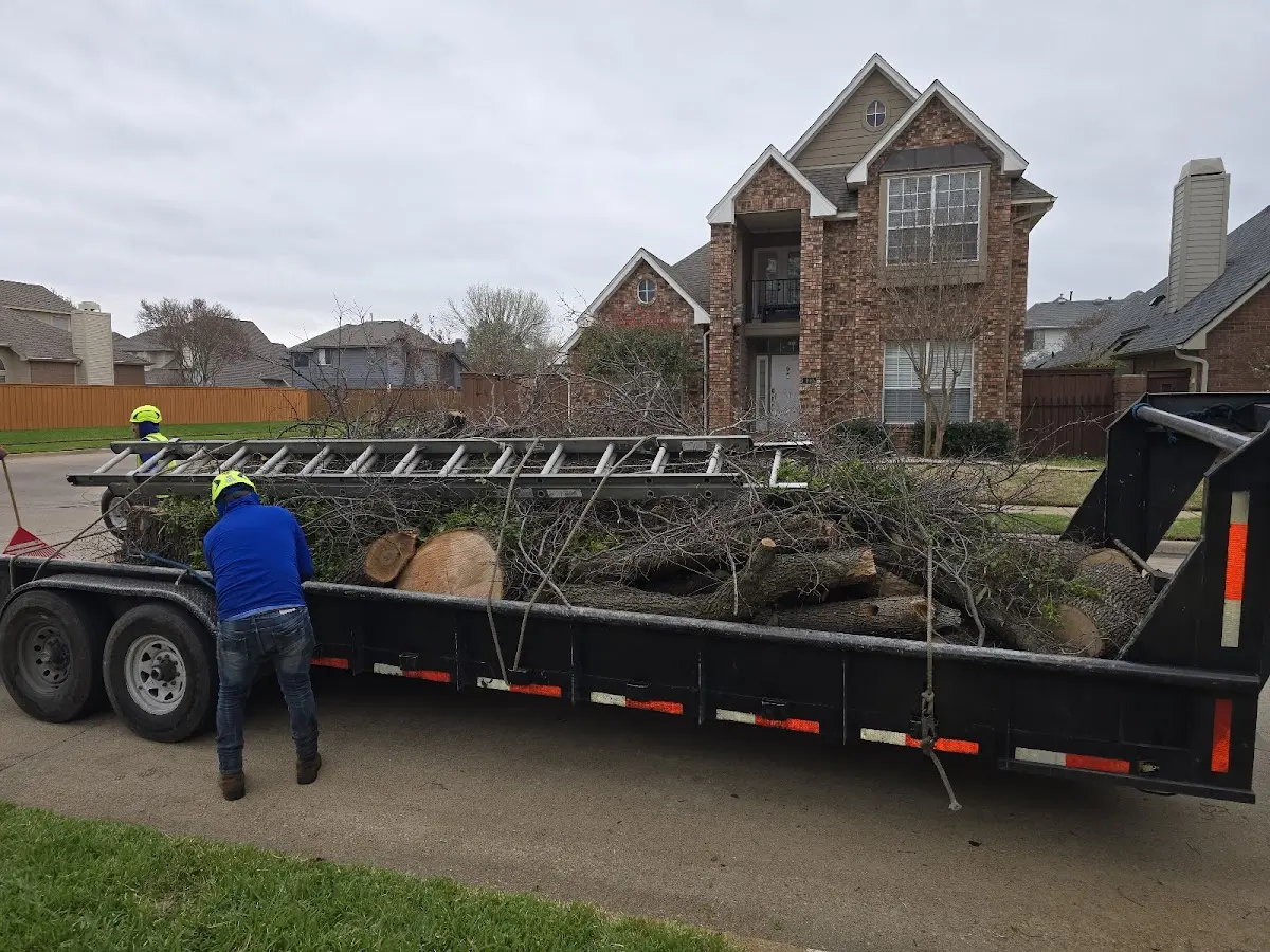 Expert Tree Removal with proper safety equipment in Delaware